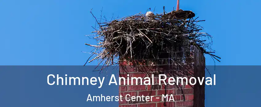  Chimney Animal Removal Amherst Center - MA