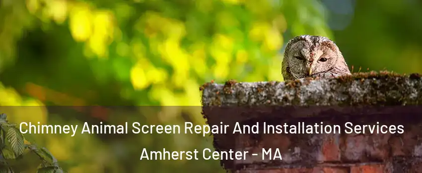 Chimney Animal Screen Repair And Installation Services Amherst Center - MA