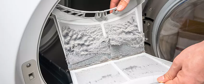 Best Dryer Lint Removal Company in Amherst Center, Massachusetts